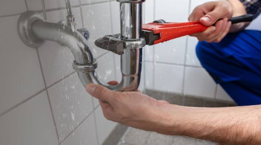 Leak Detection Services in Chapin, IL